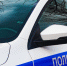 В центре Рязани под колёса попали пенсионерка и её внучка - ProGorod62.Ru