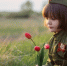Итоги XIII Областной тематической интернет-выставки работ фотохудожников – любителей «Жизнь в профиль и анфас» (художественная фотография) - РОНМЦ НТ