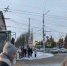 Рязанцы зарегистрировали почти 12 тысяч воробьёв во время всероссийской акции - ProGorod62.Ru