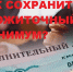 Прожиточный минимум: как его сохранить для расчетов по долгам перед кредиторами? - УФССП