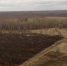 img - ТКР