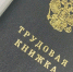 Прокуратура Шацкого района выявила проблемы с трудовыми законами - ProGorod62.Ru