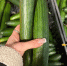 Рязанцам рассказали, какие продукты подешевеют в мае - ProGorod62.Ru