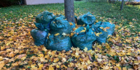 Сотрудники Рязанской НПК проводят субботники - ProGorod62.Ru