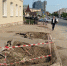 Три дерева вырвали с корнем в центре Рязани - Комсомольская Правда