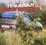 Пьяный мужчина сбил ребенка и скрылся с места ДТП в Рязанской области По словам очевидцев, мужчина сбил ребенка, вышел из машины, посмотрел на пострадавшего, сел за руль и уехал. - РИА 7 Новостей