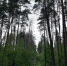 dS02KqOjWm70xTP29bAuT-4rkhXNVrlHA86FOYHOj0p3ffh2hlhR0QOy8HpXA0yDjG_Y0ao-4tMvTJB7MGPhrYVn - Рязанские ведомости