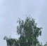 KD5wtFQUtQXHrrG4Px42nnhZbDRgHR8nI9VxxiWsVFbHFKrzb28GdmNjoD-CxjbTjP5VAC23ze9hEZBjDx18mMu5 - Рязанские ведомости