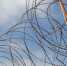 img - ТКР