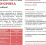 Сегодня представляем вам направления подготовки кафедры “Инженерный бизнес и менеджмент” - Рязанский Политех
