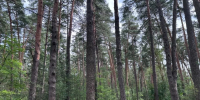 xBvKpdSCuPx4eG8cuHQp5JttVOIuIo7Hrmy2xa5YBJ_nOW21P4q6du0q2sHSxn_AMsKpTk6XcxBy1ZvtrCZaBKfZ - Рязанские ведомости