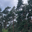 7A3GCPYmAvPx97F6EwJn08Xq4tZompwc5QY18xzuINj3p8z_uFJ9PZOLIhGkTrKb05P5VrUAPXk3soEwR8WE8Ew4 - Рязанские ведомости