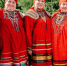Народный ансамбль села Секирино Скопинского района выступил на VIII губернском фестивале «Воронеж фольклорный» - RyazPressa.Ru
