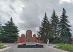 Проведено обследование елей у вечного огня в городе Скопин