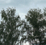o1DudKC3Fa6F3m3-IHwGRJ_7dff8reia5HlAHJQBZGzkAGSNMM1-ikVBIVFIvE18snuCwnPd1Bwe-mYfQvMV_pgx - Рязанские ведомости