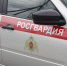 В Новомичуринске росгвардейцы задержали предполагаемого виновника ДТП - RyazPressa.Ru
