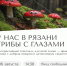 Субботняя афиша «Марко Молл»: интерактивный спектакль «У нас в Рязани грибы с глазами» - Комсомольская Правда