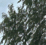 -anC_6YogLjxJpTLugcCVEf8slISb_BwWFsXxWuzShherFqTw75xpwhJlr8zgQO1G6OZHYsRyY4XByy22mfVxlt9 - Рязанские ведомости