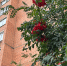 vyECg9KNAaAnQ0oHkJ0zqdZWU65MMWBbfORSfmoF_RNV8O4PMStVTpI-OOB0NuTtyQ_pH_d_1vvVNkDwNTGjyTfQ - Рязанские ведомости