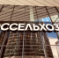 Россельхозбанк назвал лидеров российской селекции по итогам опроса 2000 аграриев - Комсомольская Правда