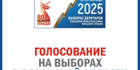 Завершилось голосование на выборах в Рязанской области - Общественная палата