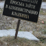 «Ведь он воевал за нас, русских…» Рязанка пожаловалась на брошенную могилу кубинца, погибшего на СВО - Комсомольская Правда