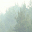 img - ТКР