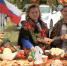 В Рыбновском районе прошел фестиваль «Барыня Капуста» - ГТРК ОКА