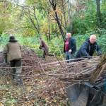 Более 200 человек приняли участие в первом осеннем субботнике Состоялась уборка общественных пространств от мусора, спил аварийных деревьев и расчистка территорий.