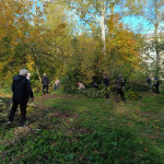 Более 200 человек приняли участие в первом осеннем субботнике Состоялась уборка общественных пространств от мусора, спил аварийных деревьев и расчистка территорий.