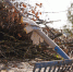 img - ТКР
