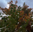 photo_2025-10-03_18-24-14 - Рязанские ведомости