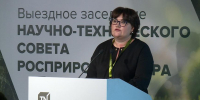 Применение ИИ в экологическом мониторинге сегодня обсуждали в Рязани - ГТРК ОКА