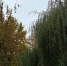 photo_2025-10-08_14-37-37 - Рязанские ведомости