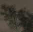 zZpnBMgeU9myZcEb-uQaRbRJkx9L1JQwdm_6l070MuyXDFEljBFTeyHvVeDUw2Sxt043VEixHfWxAzw_urXw0uEH - Рязанские ведомости