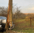 image_jpegcharsetutf-8(2)-800x600 - Рязанские ведомости