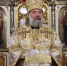 Врачи – палачи, женщины – убийцы: епископ Питирим высказался об абортах - Комсомольская Правда