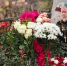 IMG-20251105-WA0003 - Рязанская епархия