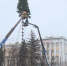 На площади Ленина начали устанавливать главную новогоднюю елку - ГТРК ОКА
