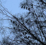 8J9eojb5JTx2lfdP8LURIQyC_YCFt72TNVzO_BLpSwo18Bb5QJCxDUXJaYYy8fHezu82ud9uI0B6djpwRGb66dCJ - Рязанские ведомости