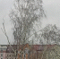 img - ТКР