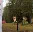 img - ТКР