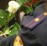 В Управлении Росгвардии поздравили с Днём матери женщин, проходящих службу в ведомстве - Росгвардия
