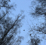 1hTWF2Gq6IUuCK-Ua1B4ze-s0b7JzSdg9J1qTIWo4W4z_O0znZ3wyZbh7hr1JPF5T3yqx5vNNGoMo-dyAe7lwhMO - Рязанские ведомости