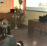 Подростки Соколовки узнали особенности рязанских топонимов - Управление культуры