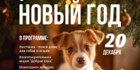 афиша - ИА Малая Родина