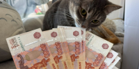 В Рязанской области с 1 января 2026 года вступает в силу специальный налоговый режим - ProGorod62.Ru