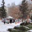 В Рязани открылись елочные базары - RyazPressa.Ru