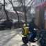 Работодатели предлагают рязанским курьерам в три раза больше, чем они ожидают - ProGorod62.Ru