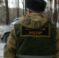 Браконьер, убивший лося, задержан в Сараевском районе - Комсомольская Правда